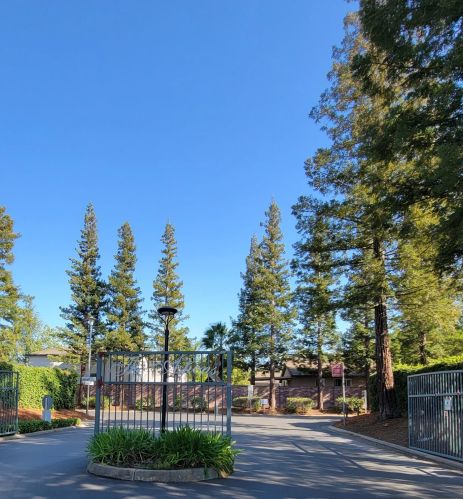 8752 Dove Tree Ln, Elk Grove, CA 95758-6791