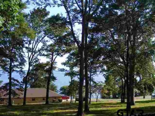 17534 Old River Rd, Flint, TX 75762-2800