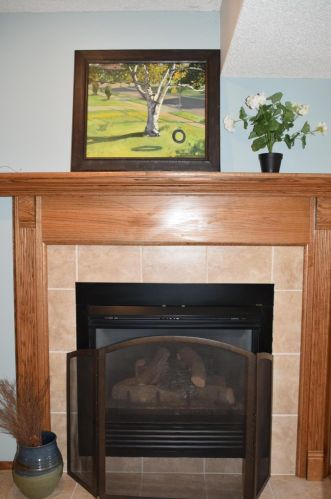 15737 Hayes Trail Ct, Saint Paul MN  55124-7143 exterior