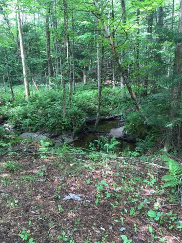 46 Brookside Ln, Danbury, NH 03230-4827