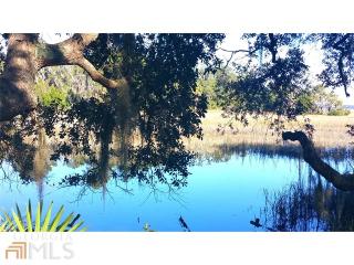 424 Pelican Cir, Woodbine, GA 31569-4036