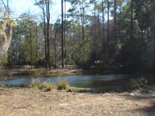 146 Green Island Rd, Savannah, GA 31411-1206