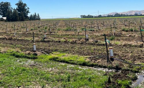 5731 Lewis Rd, Vacaville, CA 95687-9434