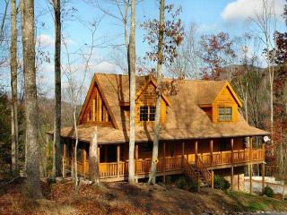 2629 Bird View Ln, Pigeon Forge, TN 37862-6503
