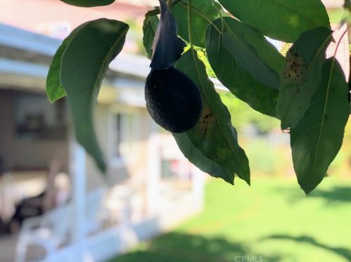 1602 Raymar St, Santa Ana CA 92703-4619 exterior