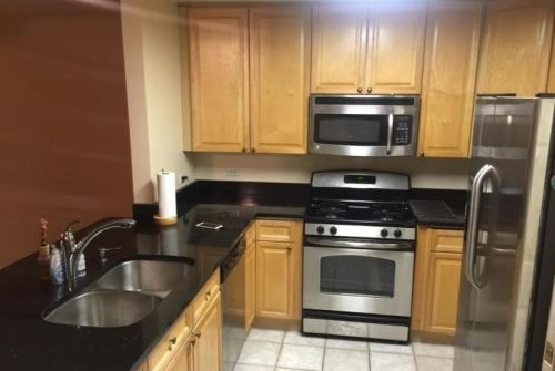 4934 Cornell Ave, Chicago, IL 60615-3014