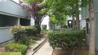 22535 Center St, Hayward, CA 94541-3205