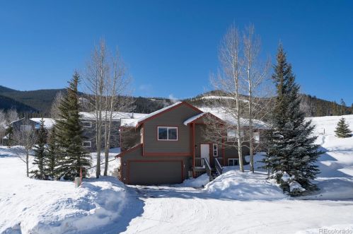 260 Meadow Wood Cir, Montezuma, CO 80435-8477