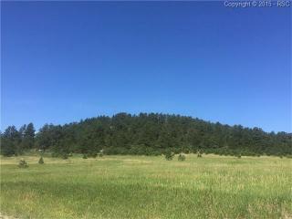 16150 Reata Rd, Amo, CO 80831-9527