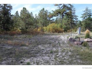 7937 Red Hill Rd, Palmer Lake CO  80118-8267 exterior