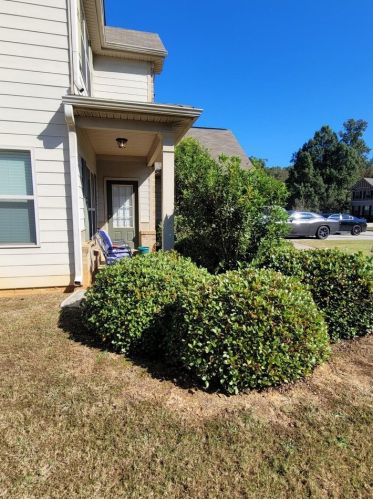 224 Deodar Ln, Hampton, GA 30228-4917