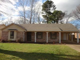 3793 Dagmar St, Memphis, TN 38128-3045