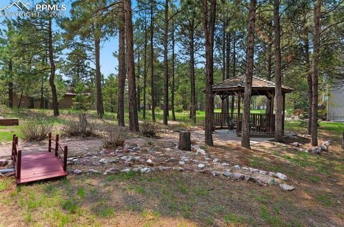 19810 Indian Summer Ln, Woodmoor CO  80132-9425 exterior