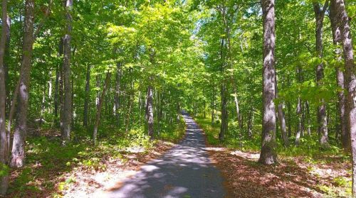 88 Cato Corner Rd, Colchester, CT 06415-2400