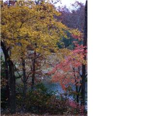 276 White Oak Trl, Sequatchie, TN