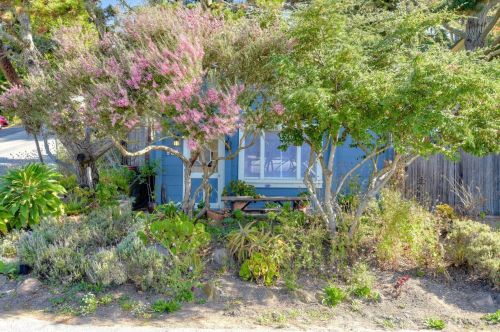 901 Etheldore St, Moss Beach, CA 94038-9697