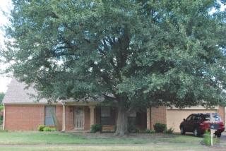 5074 Fairbrook Ave, Memphis, TN 38118-2532