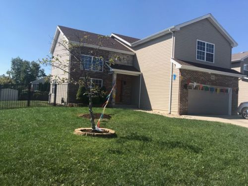 2905 Twin Fls Dr, Plainfield IL  60586-1147 exterior