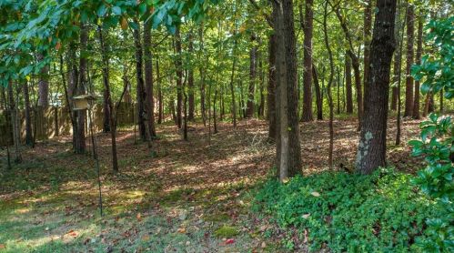 602 Brookside Pass, Holly Springs GA  30188-6053 exterior