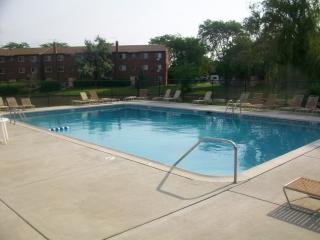 1173 Dickens Way, Schaumburg IL  60193-4024 exterior