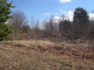 101 Green Ridge Dr, Easley, SC 29642-7736