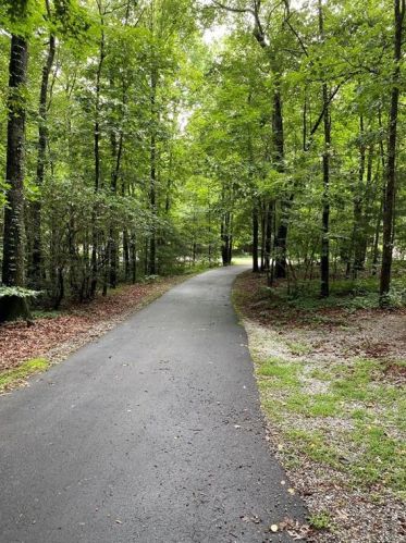35 Woods Dr, Dahlonega, GA 30533-4698