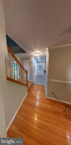 14429 Long Green Dr, Silver Spring MD 20906-2074 exterior