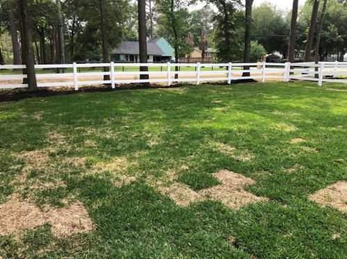 15435 Esther Dr, Conroe TX  77384-4621 exterior