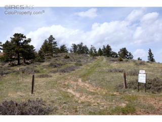 177 Laplata Dr, Red Feather Lakes, CO 80536-8723