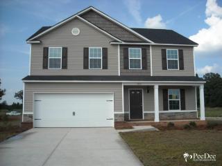 1201 Barn Owl Rd, Effingham SC  29541-4720 exterior