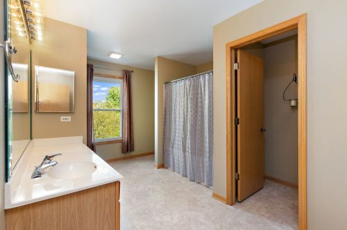 313 Century Dr, Pingree Grove IL  60140-4013 exterior