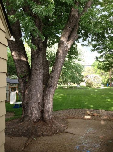 2174 Desoto St, Saint Paul MN  55117-1830 exterior