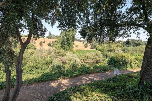 900 Old Stockton Rd, Valley Home CA  95361-2668 exterior