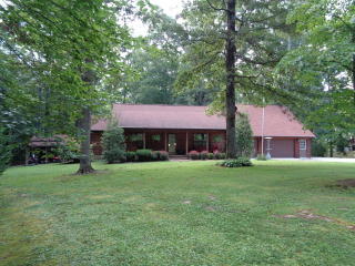 525 Britton Ford Rd, Springville, TN 38256-5018