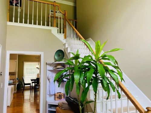 2204 Cape Liberty Dr, Suwanee, GA 30024-2758