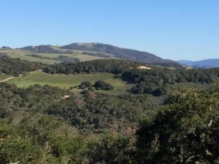 25345 Tierra Grande Dr, Carmel, CA 93923-8413