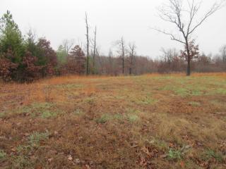 476 Madison 8359, Huntsville, AR 72740-6931
