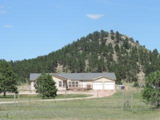 16790 Fannin Cir, Amo, CO 80831-9425