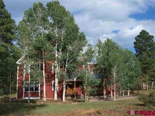 281 Silver Queen, Durango, CO 81301-9433
