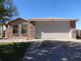 5204 New Castleton Ct, Fort Worth TX  76135-1487 exterior