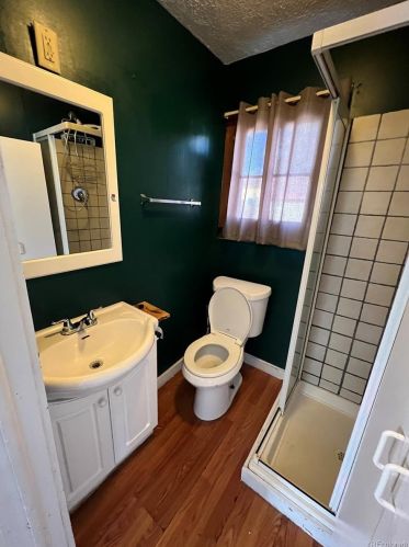 623 Chestnut St, Leadville CO  80461-3905 exterior