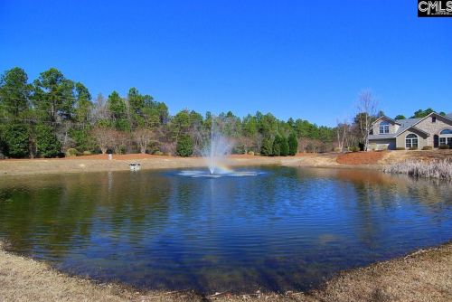 136 Peach Grv Cir, Elgin SC  29045-7116 exterior