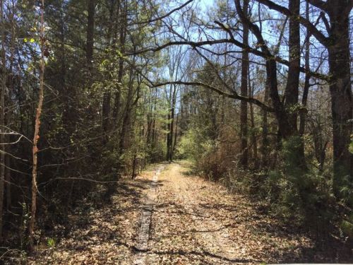 1518 Maben Starkville Rd, Maben, MS 39750-8787