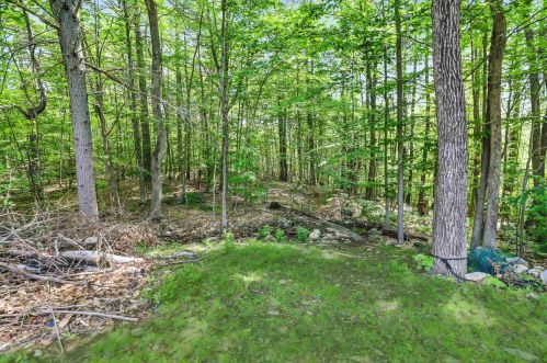 14 Levesque Ln, Mount Vernon, NH 03057-1420