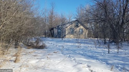 36748 203rd Ave, Clarissa, MN 56440-1003
