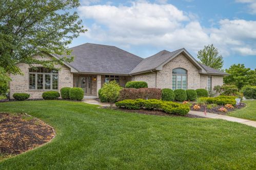 10915 Nebraska St, Frankfort, IL 60423-2302
