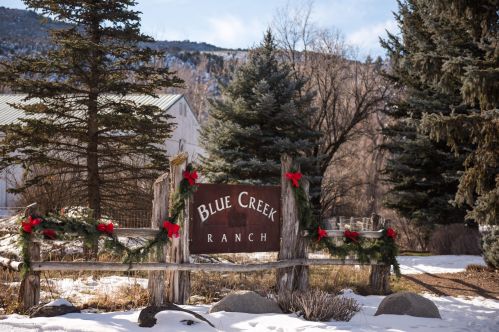 178 Ponderosa Pass, El Jebel CO 81623-8625 exterior