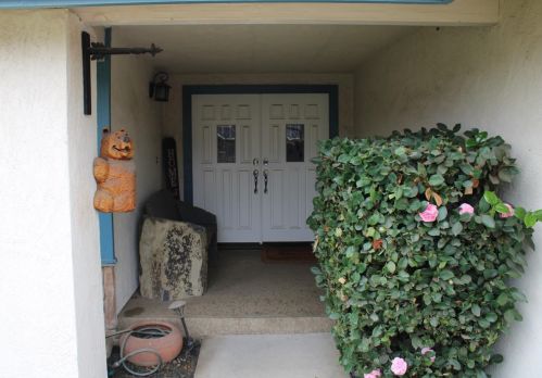 1305 Serenity Ct, Modesto, CA 95355-8901