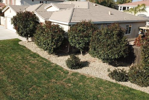 11452 Mirage Dr, Sharon, CA 93610-8027
