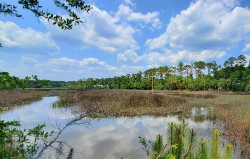 4117 Duck Club Rd, Ravenel, SC 29470-3317